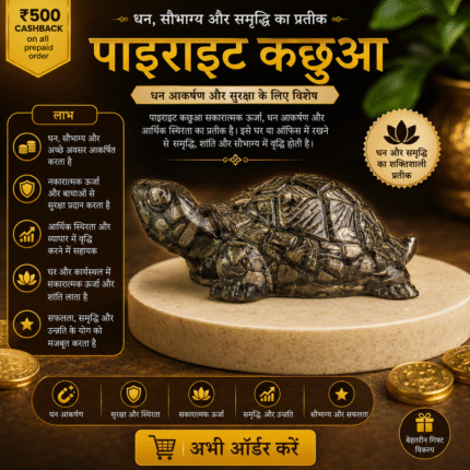 Vastu Pyrite Tortoise(Kachhua)